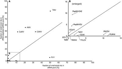 Next Generation Sequencing for Detection and Discovery of Plant Viruses and Viroids: Comparison of Two Approaches